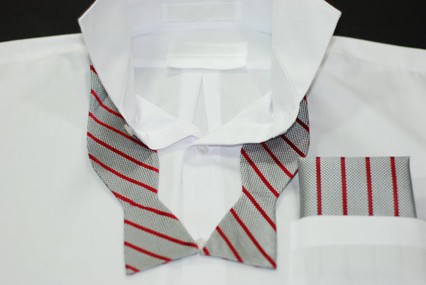 Silk Gray & Red Stripe Bowtie