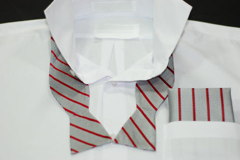 Silk Gray & Red Stripe Bowtie